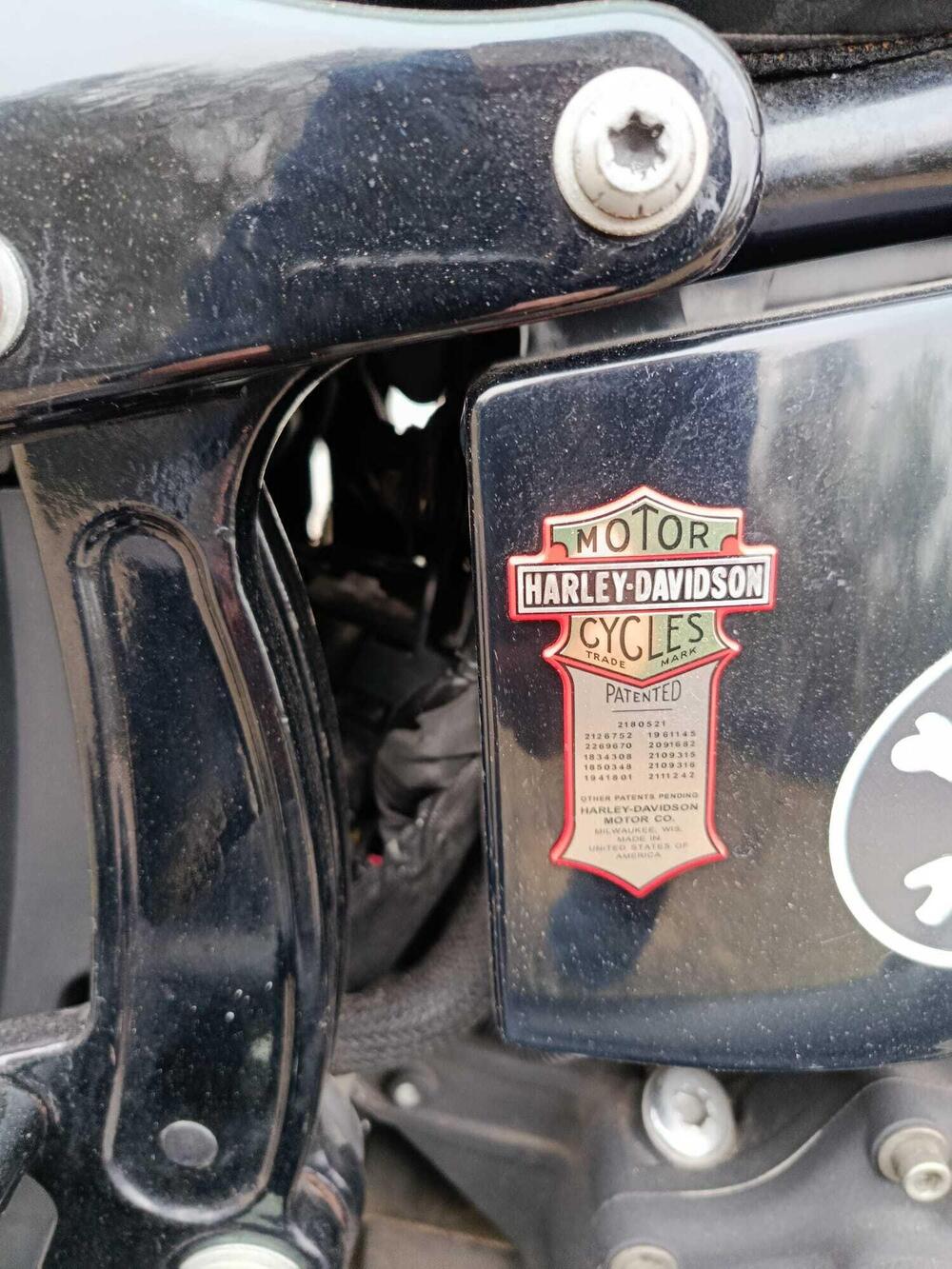 Harley-Davidson 1584 Cross Bones (2008 - 11) - FLSTSB (6)