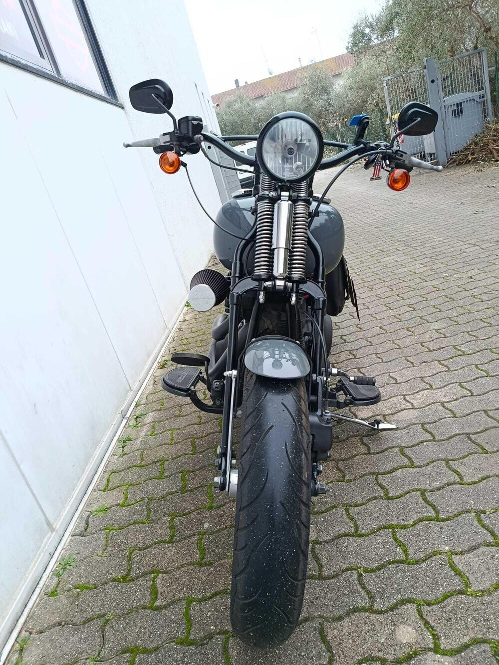 Harley-Davidson 1584 Cross Bones (2008 - 11) - FLSTSB (8)