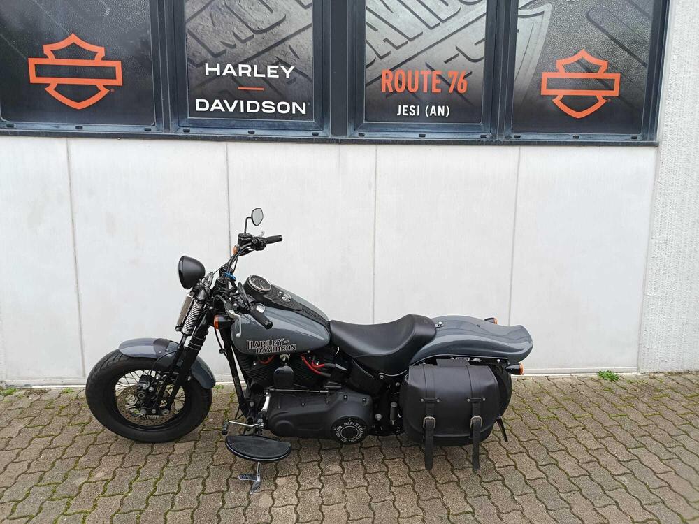 Harley-Davidson 1584 Cross Bones (2008 - 11) - FLSTSB (10)