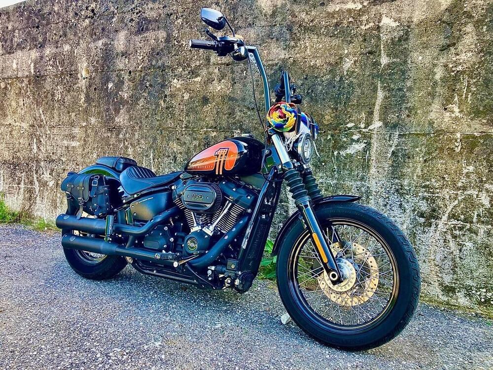 Harley-Davidson Street Bob 114 (2021 - 24) (2)