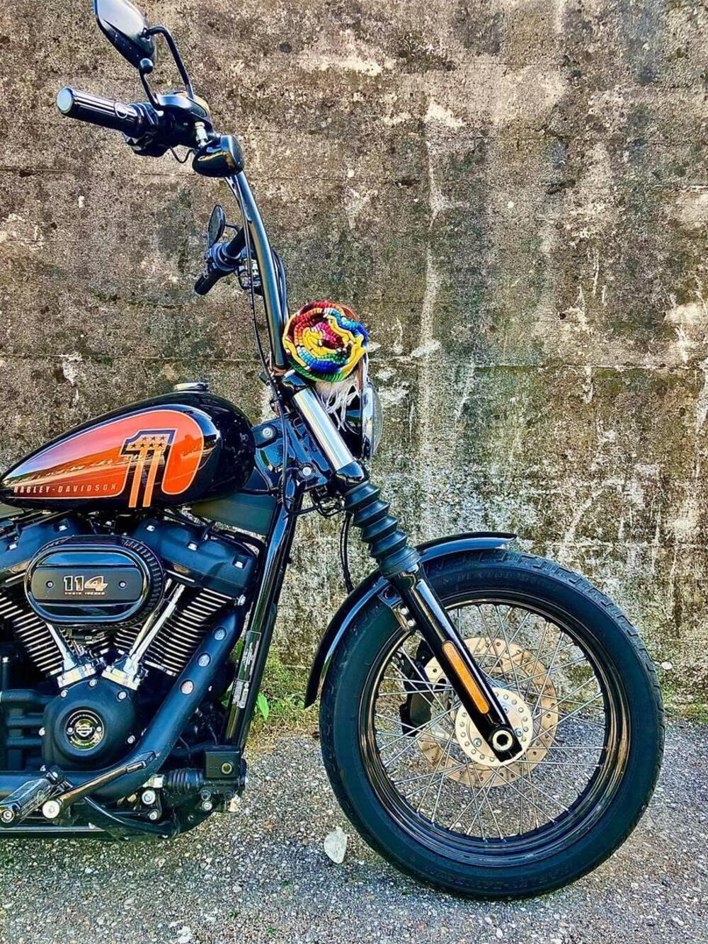 Harley-Davidson Street Bob 114 (2021 - 24) (9)