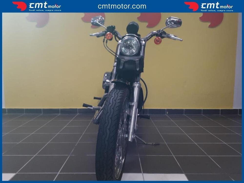 Harley-Davidson 883 Standard (2001 - 05) - XL 883 (2)