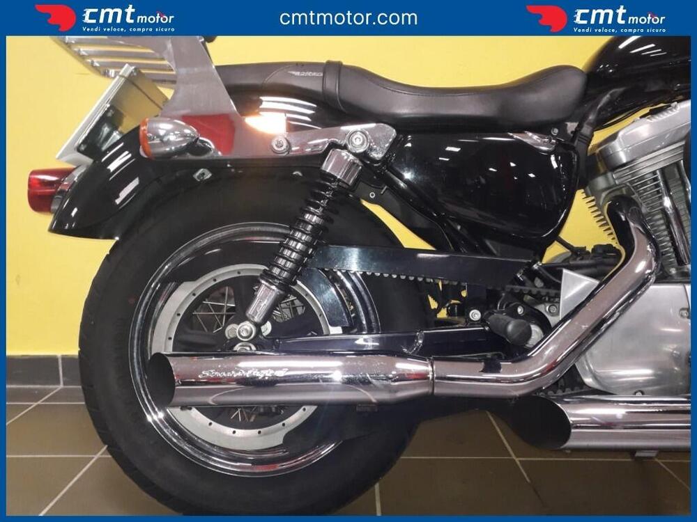 Harley-Davidson 883 Standard (2001 - 05) - XL 883 (5)