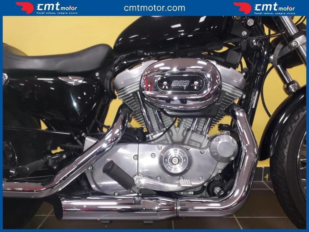 Harley-Davidson 883 Standard (2001 - 05) - XL 883 (6)