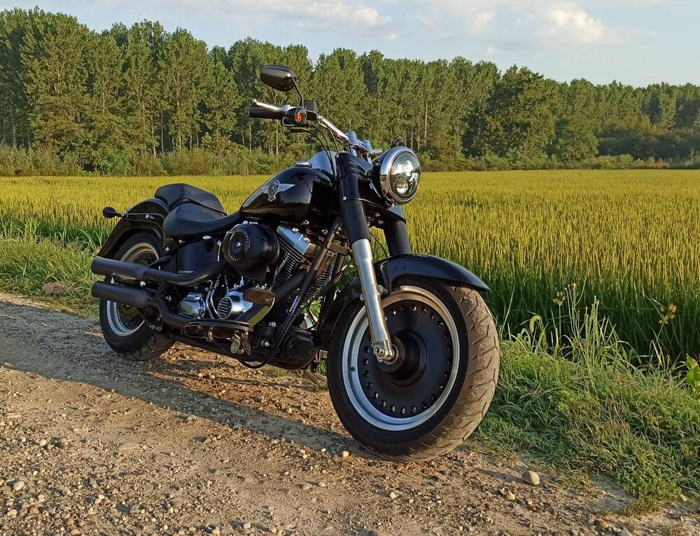 Harley-Davidson 1584 Fat Boy (2008 - 10) - FLSTF (5)