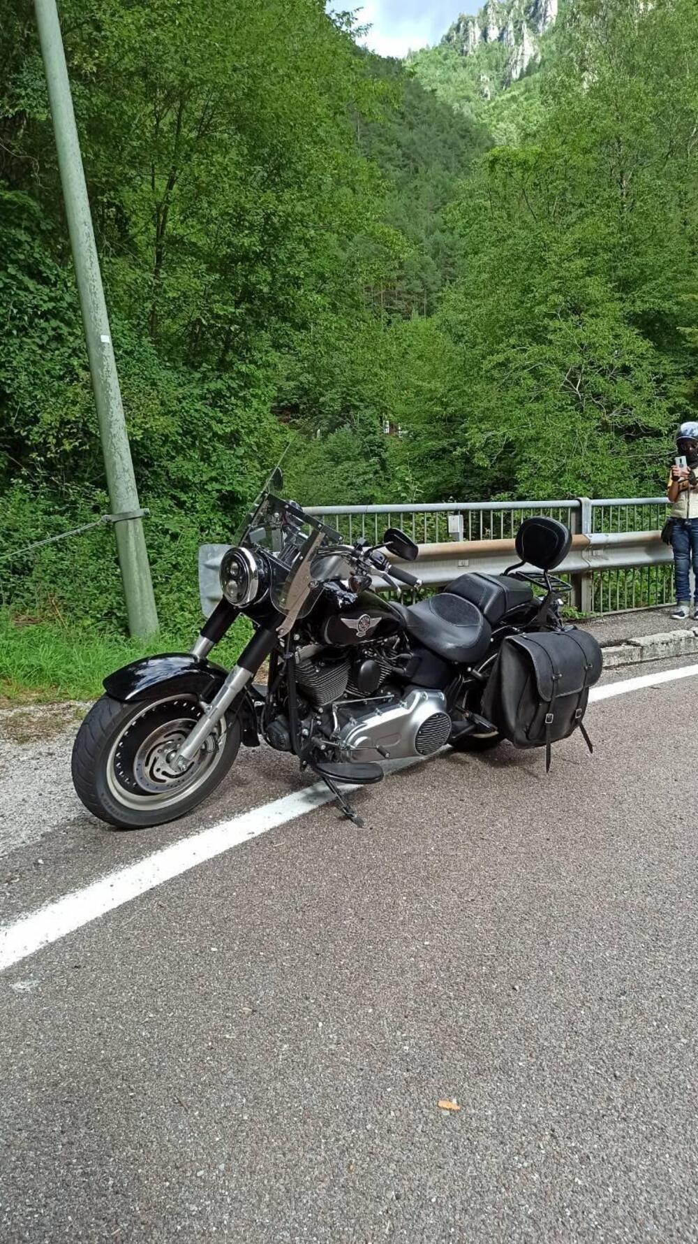 Harley-Davidson 1584 Fat Boy (2008 - 10) - FLSTF (9)