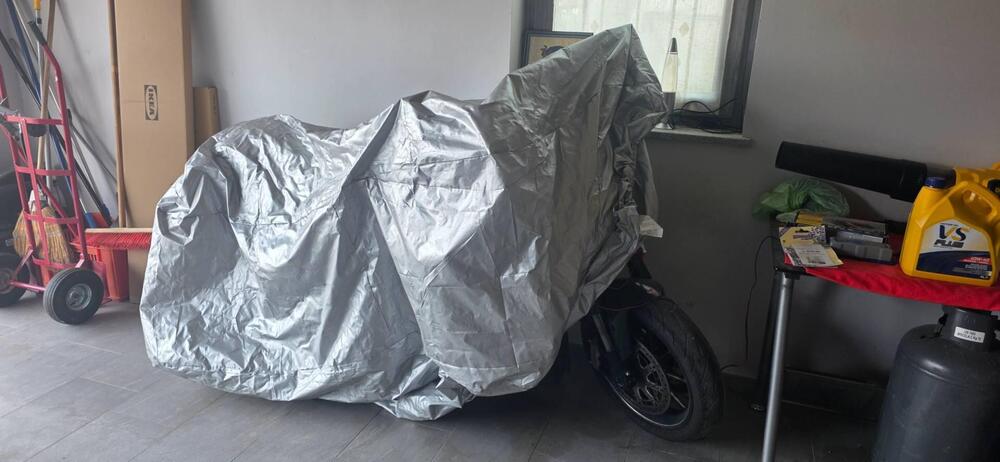 Ducati Diavel 1200 Carbon (2010 - 13) (6)