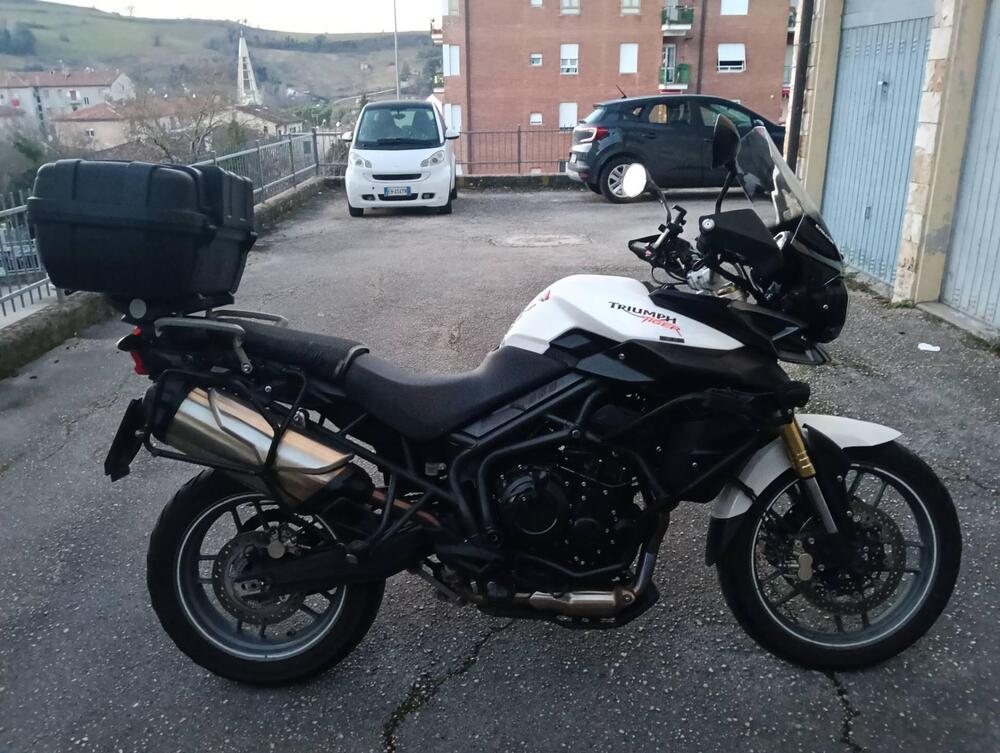 Triumph Tiger 800 ABS (2010 - 14) (2)