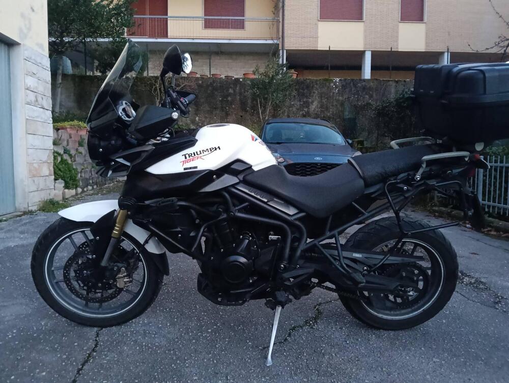 Triumph Tiger 800 ABS (2010 - 14) (3)