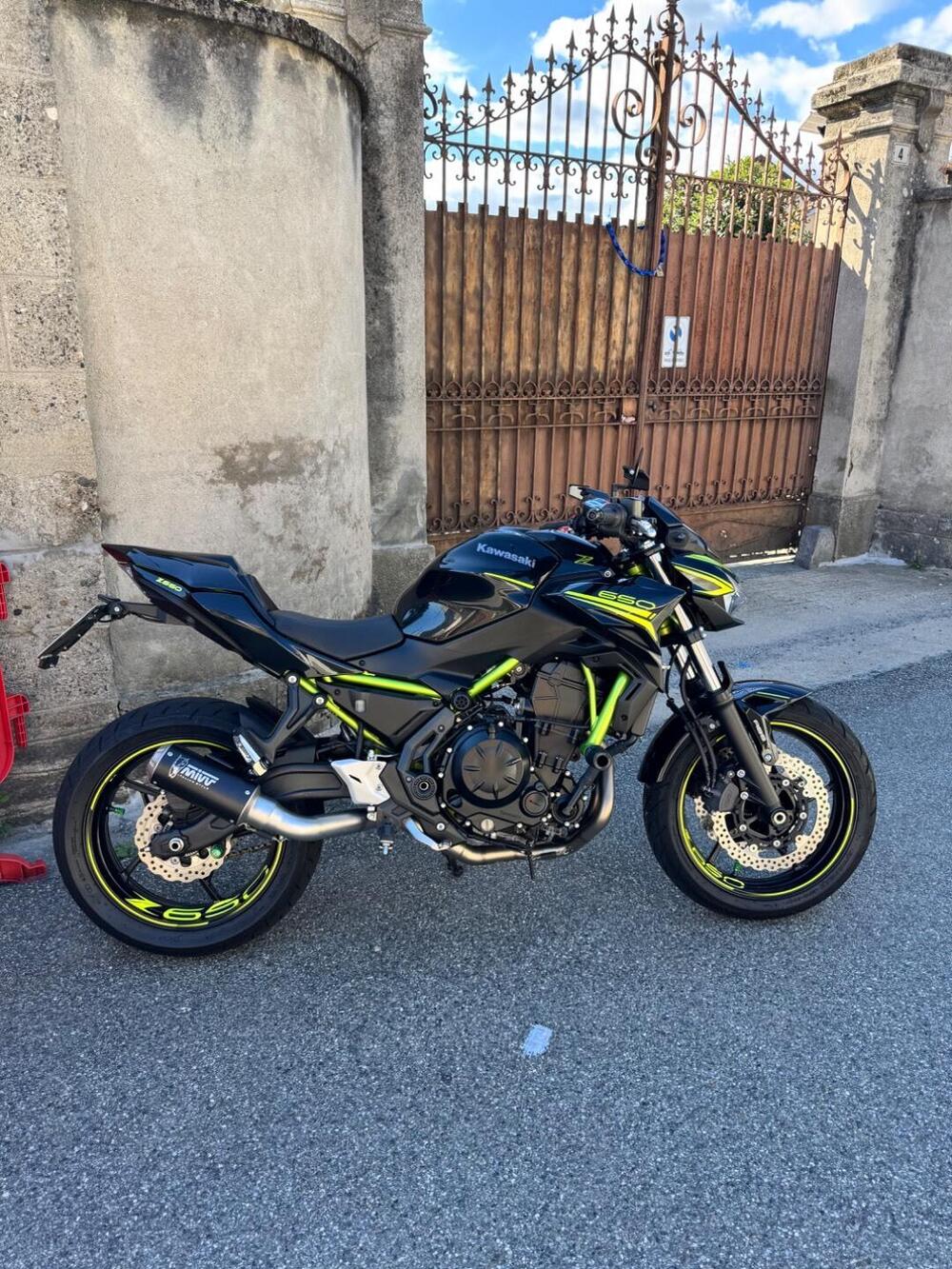 Kawasaki Z 650 Performance (2020) (2)