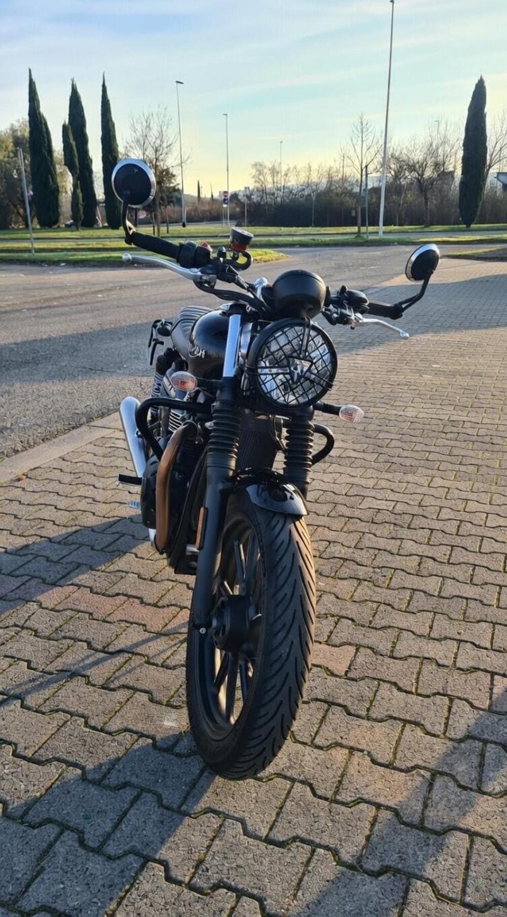 Triumph Speed Twin 900 (2023 - 24)