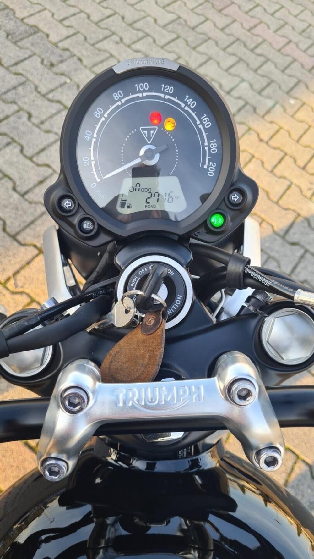 Triumph Speed Twin 900 (2023 - 24) (3)