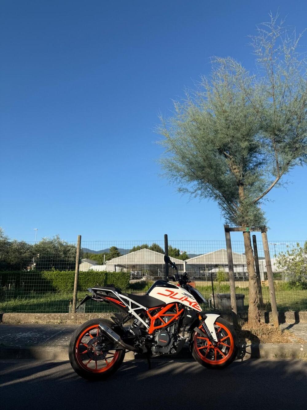 KTM 390 Duke (2021 - 23) (3)