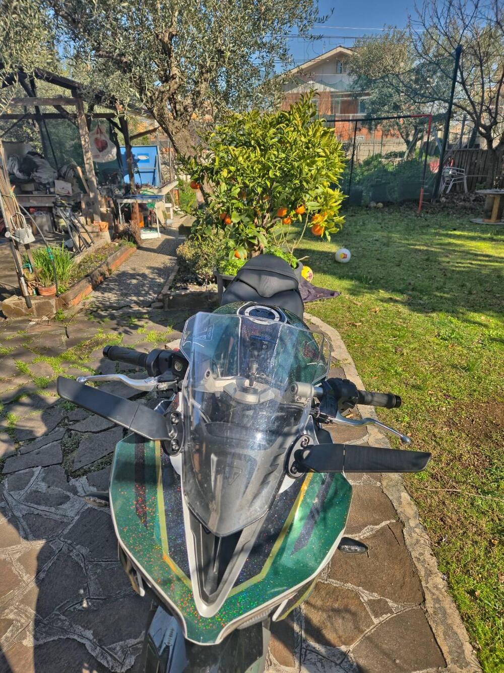 Triumph Daytona 660 (2024 - 26) (17)