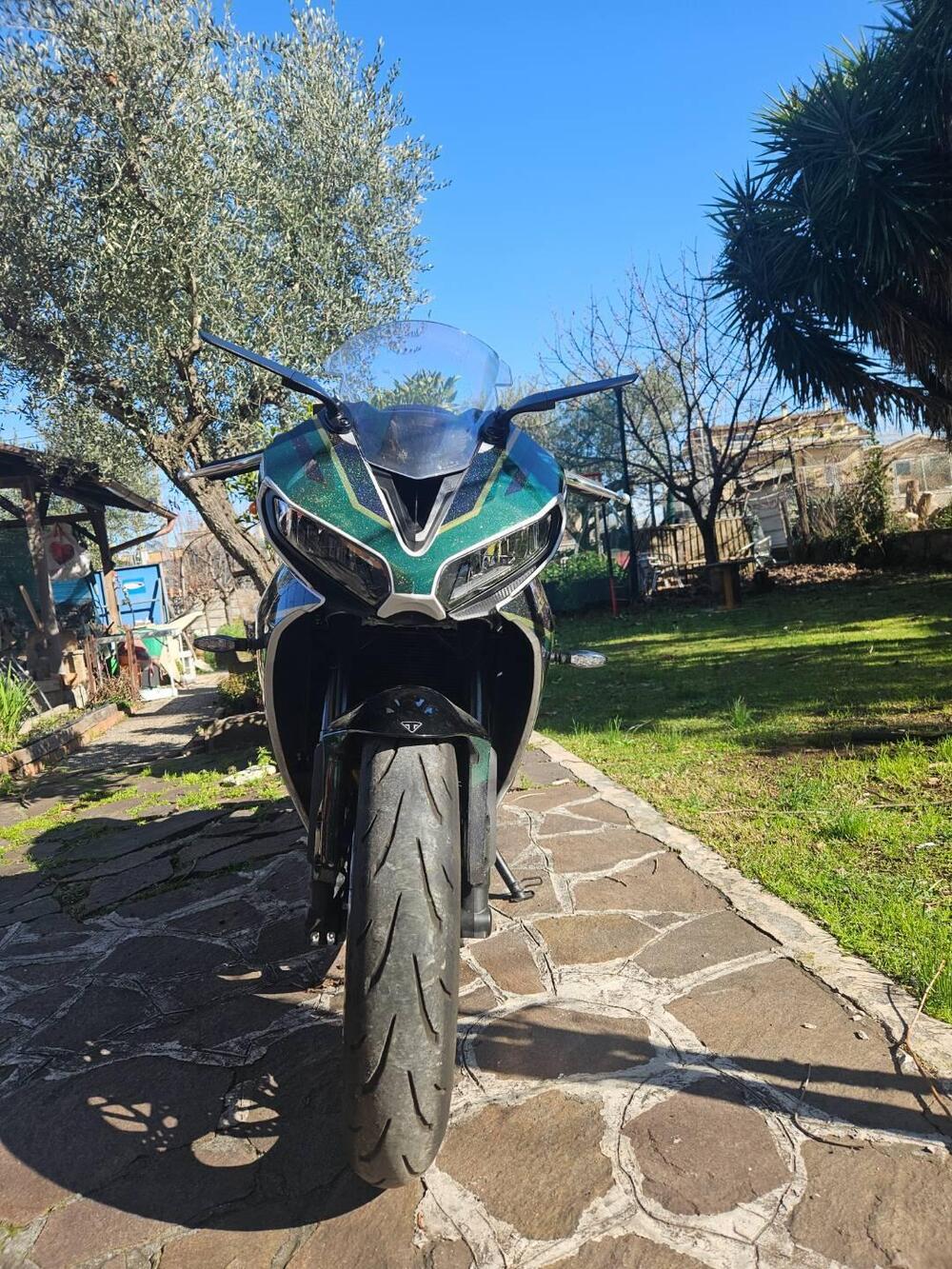 Triumph Daytona 660 (2024 - 26) (18)