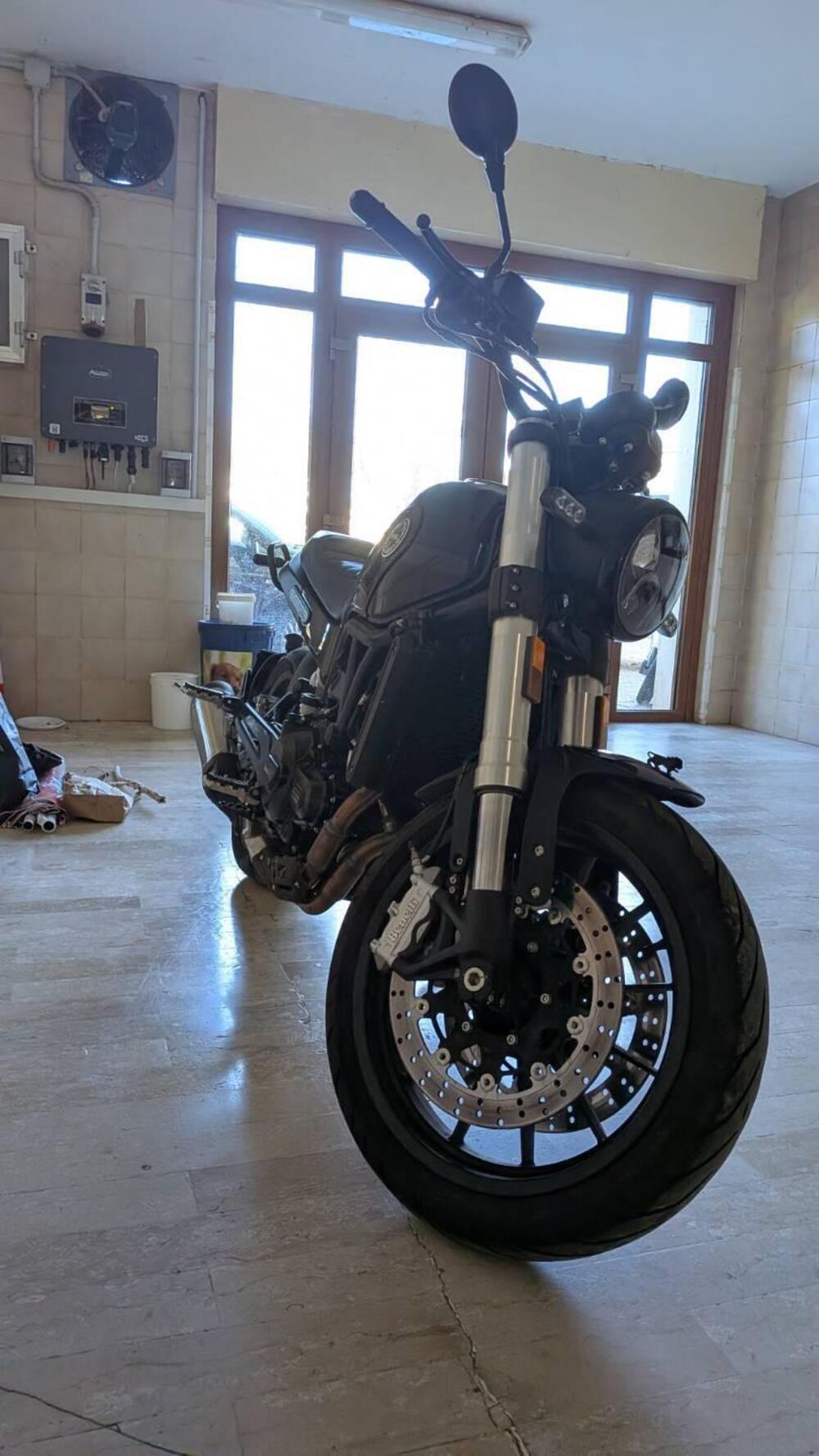 Benelli Leoncino 500 (2021 - 25) (3)