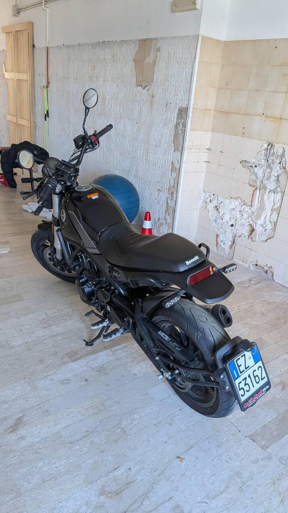 Benelli Leoncino 500 (2021 - 25) (4)