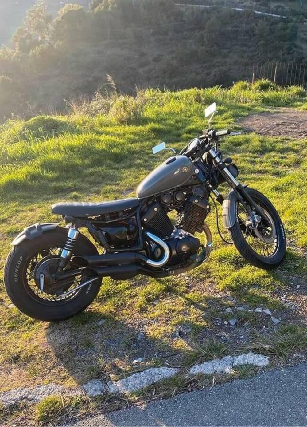 Yamaha XV 535 (1988 - 97) (2)