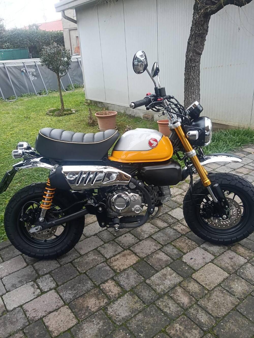 Honda Monkey 125 (2022 - 24) (3)