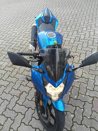 Kawasaki Ninja 125 (2019 - 20) usata