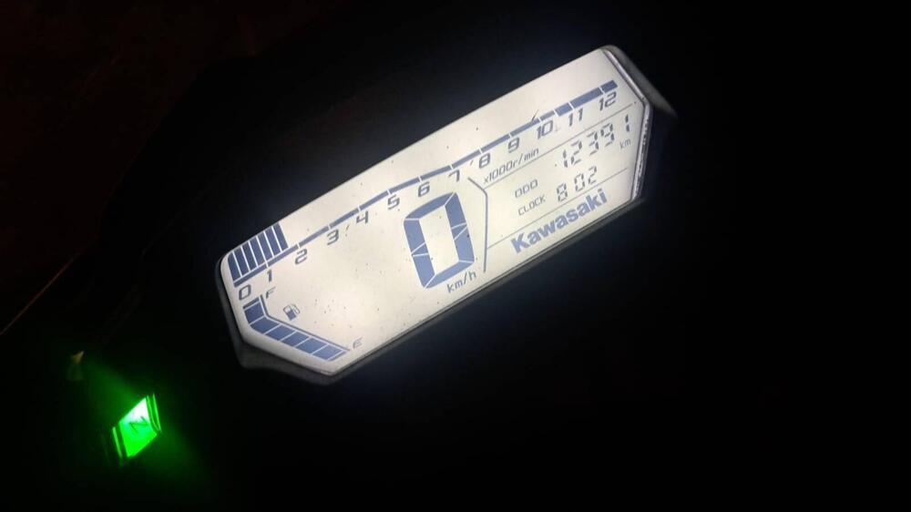 Kawasaki Ninja 125 (2019 - 20) (5)