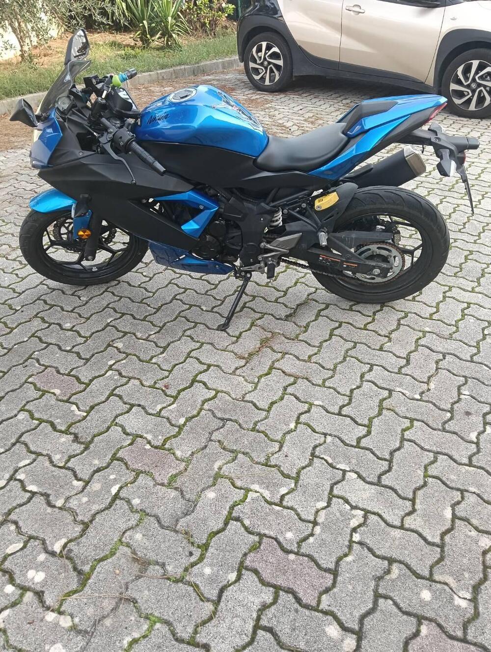 Kawasaki Ninja 125 (2019 - 20) (6)