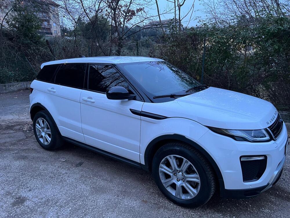 Land Rover Range Rover Evoque usata a Frosinone