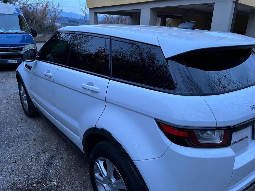 Land Rover Range Rover Evoque usata a Frosinone (2)
