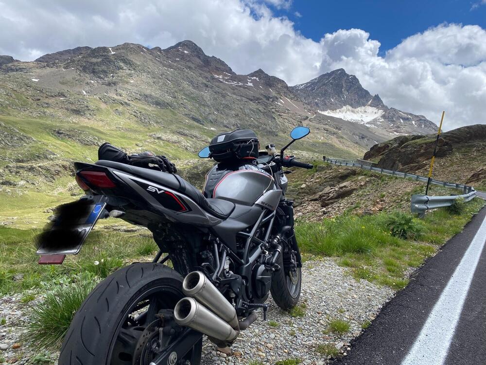 Suzuki SV 650 X - Ter (2018 - 20) (7)