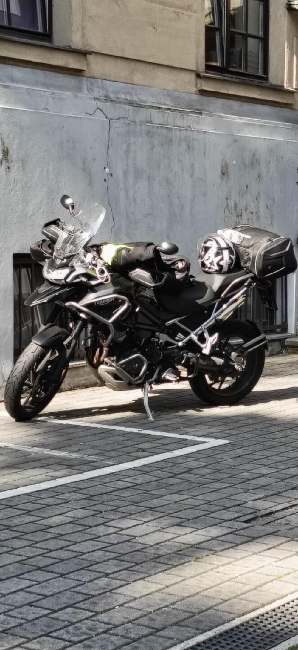 Triumph Tiger 1200 GT Pro (2022 - 23) (2)
