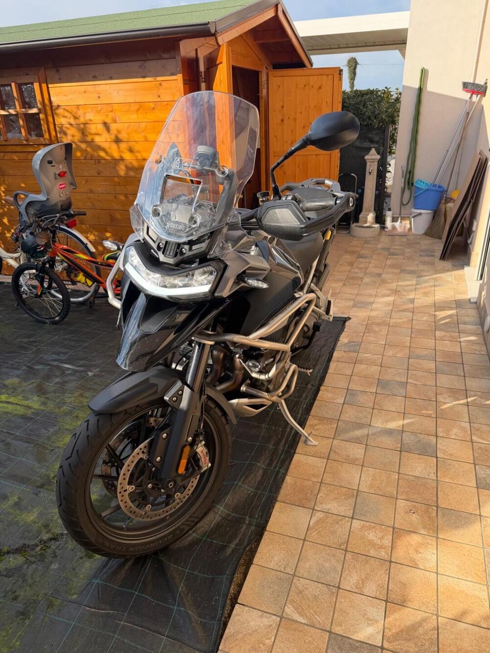 Triumph Tiger 1200 GT Pro (2022 - 23) (6)
