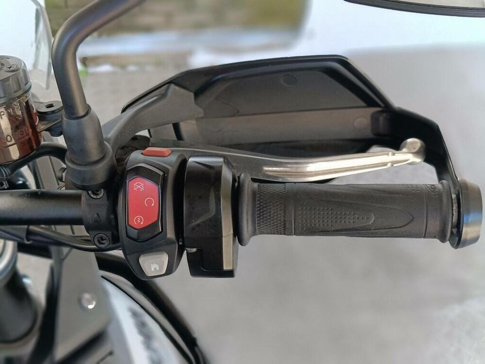 Triumph Tiger 900 GT (2020 - 23) (4)