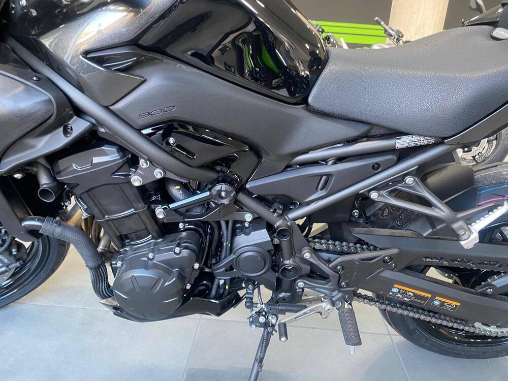 Kawasaki Z 900 (2025 - 26) (9)
