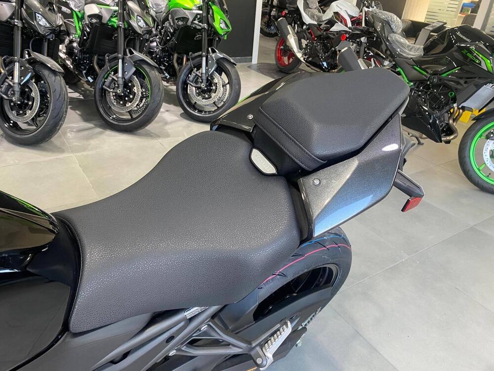 Kawasaki Z 900 (2025 - 26) (12)