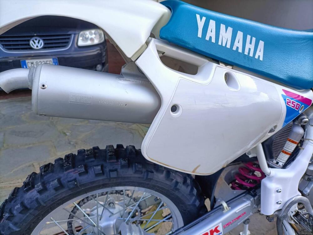 Yamaha WR 250 (4)