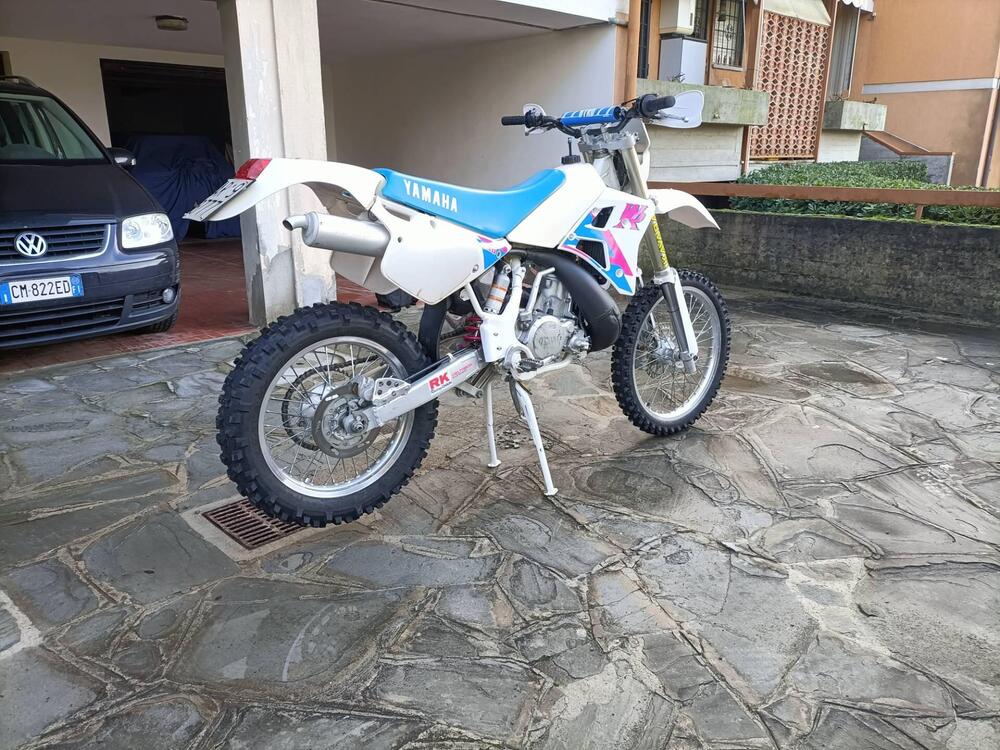 Yamaha WR 250 (5)
