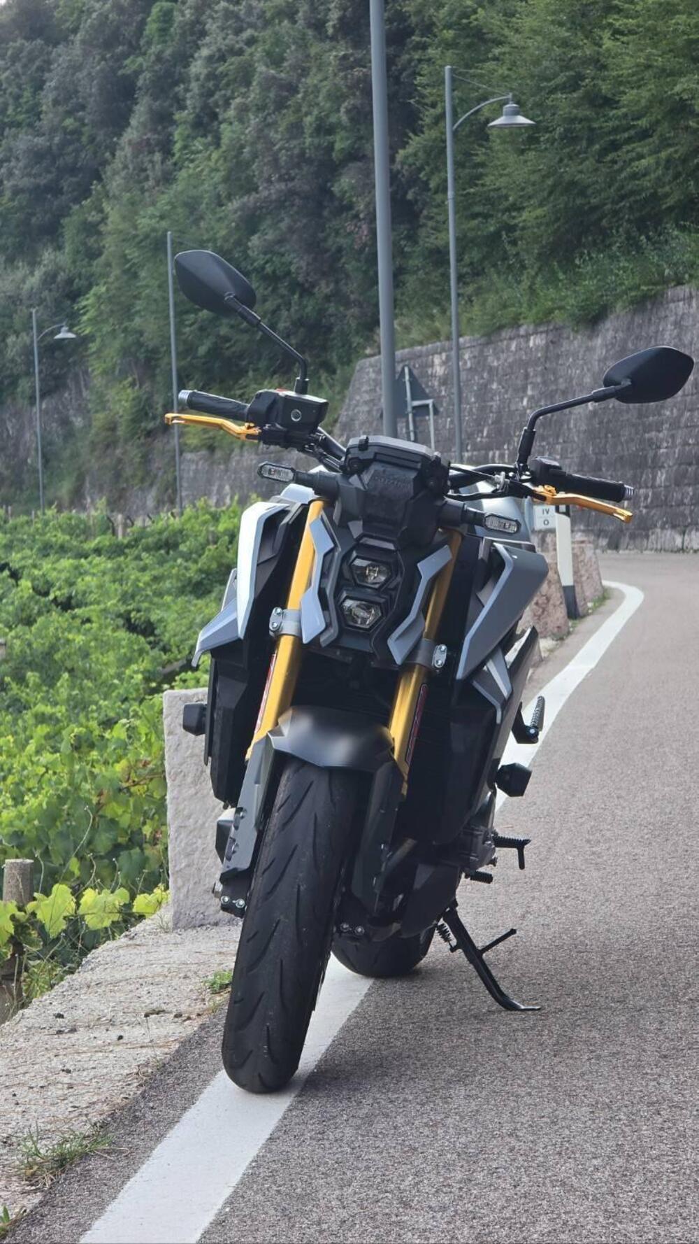 Suzuki GSX-S1000 (2021 - 25)