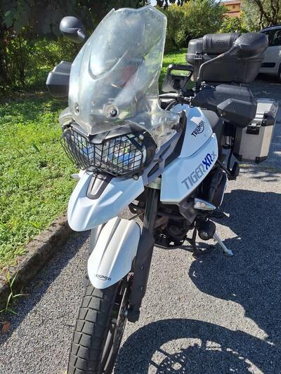 Triumph Tiger 800 XRx (2015 - 17) usata