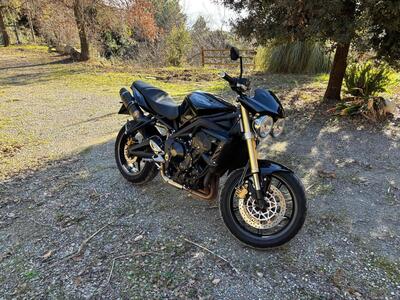 Triumph Street Triple (2007 - 12) usata