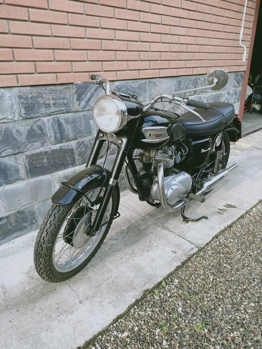 Triumph TigerT100ss (2)