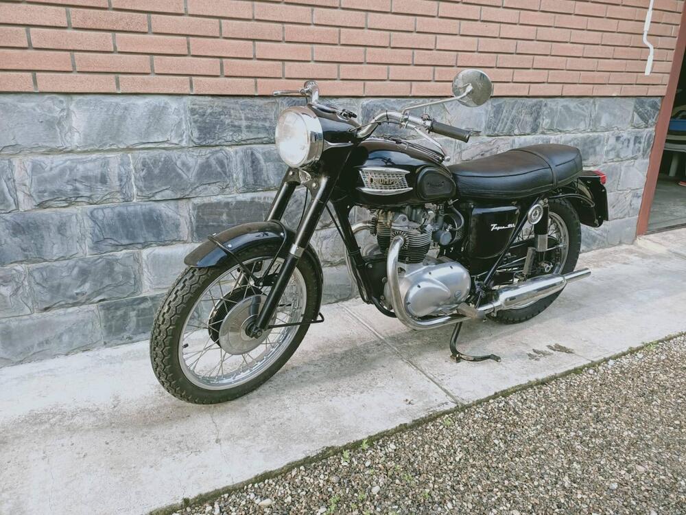 Triumph TigerT100ss (3)