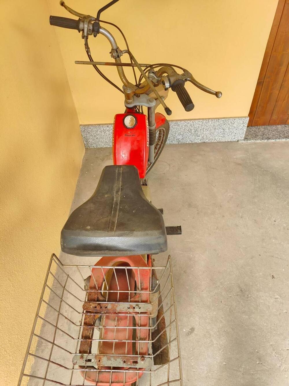 Benelli Benelli Export 3V (2)