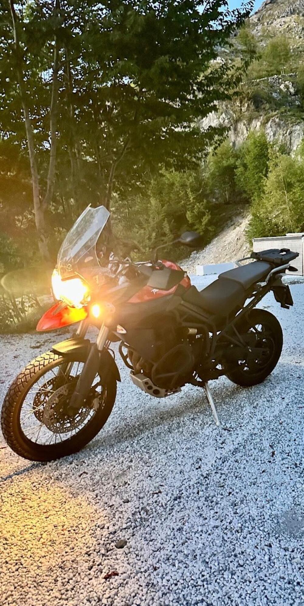 Triumph Tiger 800 XC ABS (2010 - 14) (3)