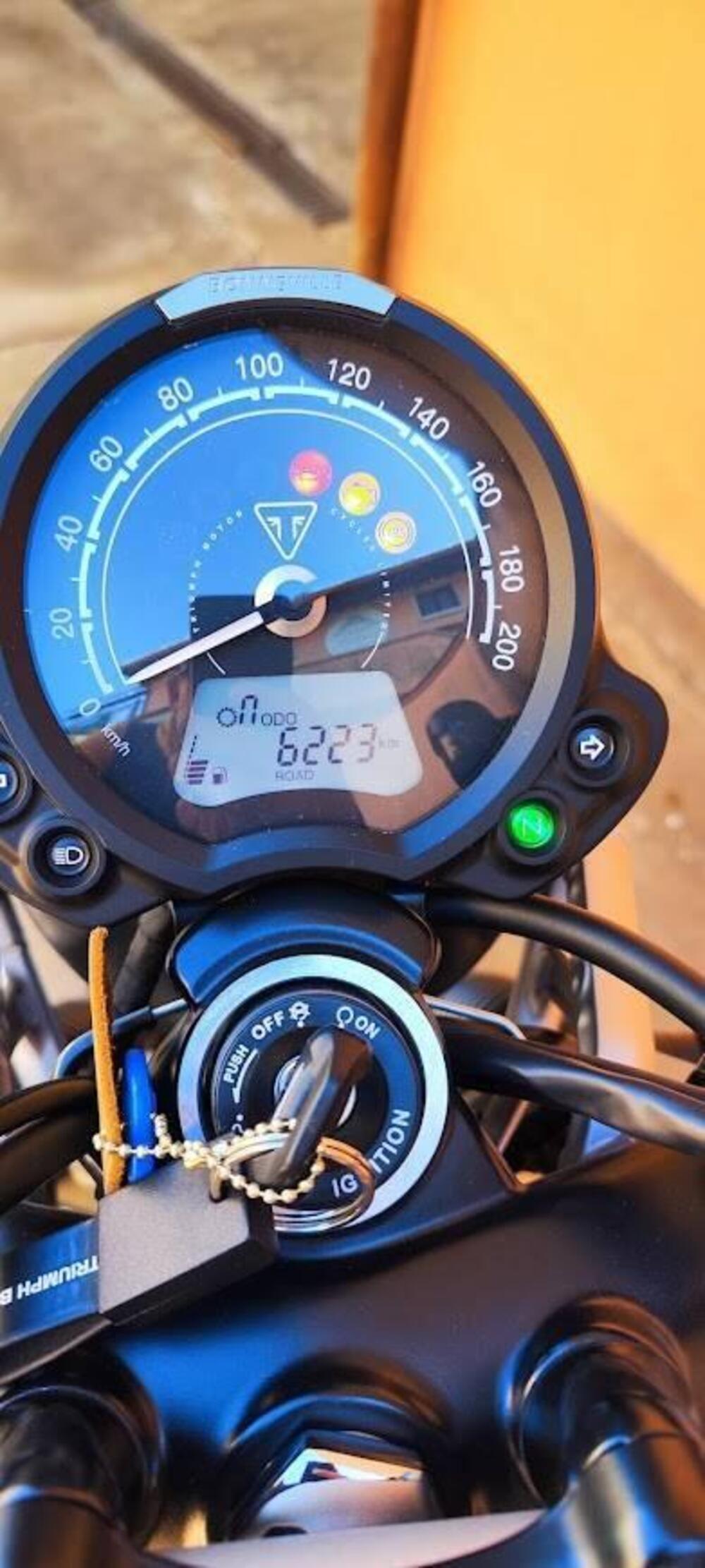 Triumph Street Scrambler 900 Gold Line Edition (2021 - 23) (2)