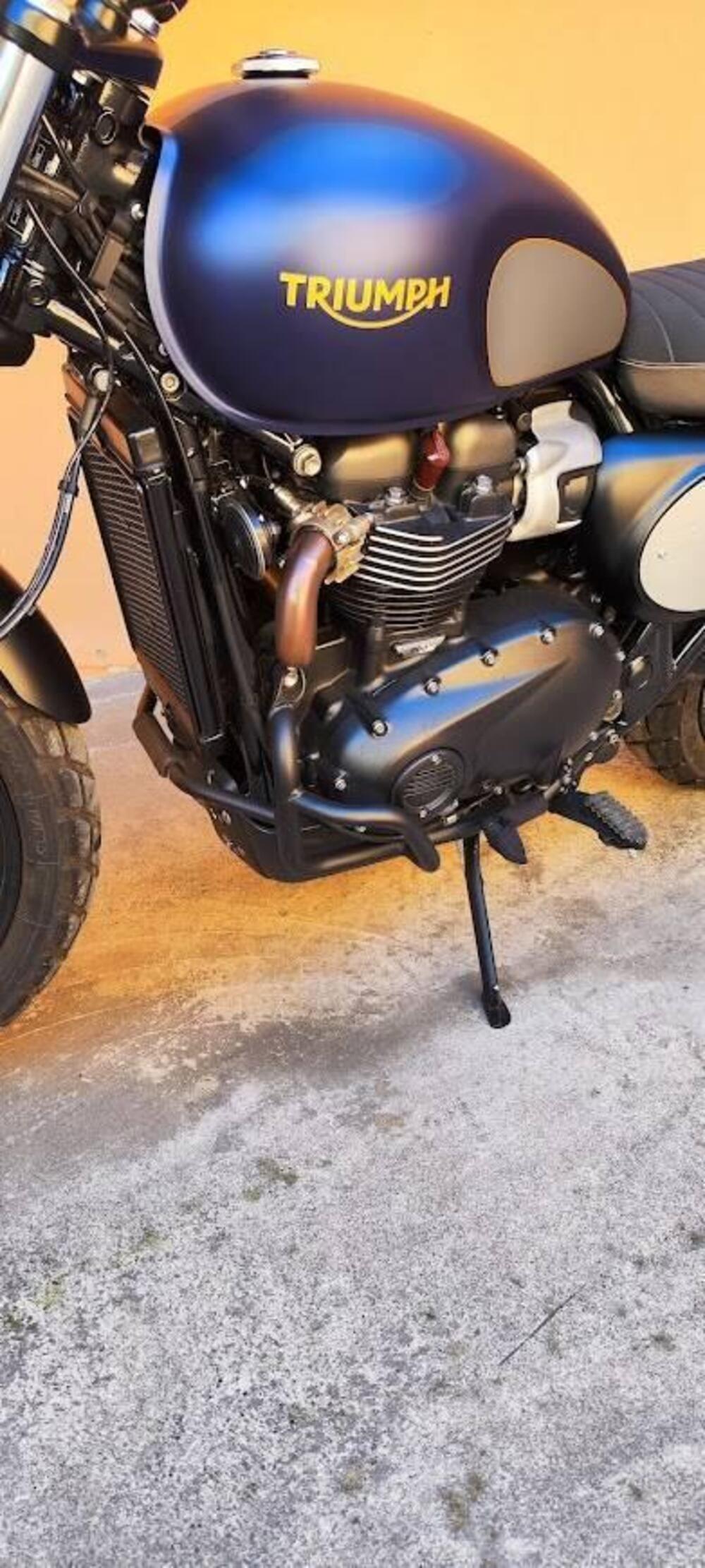 Triumph Street Scrambler 900 Gold Line Edition (2021 - 23) (3)