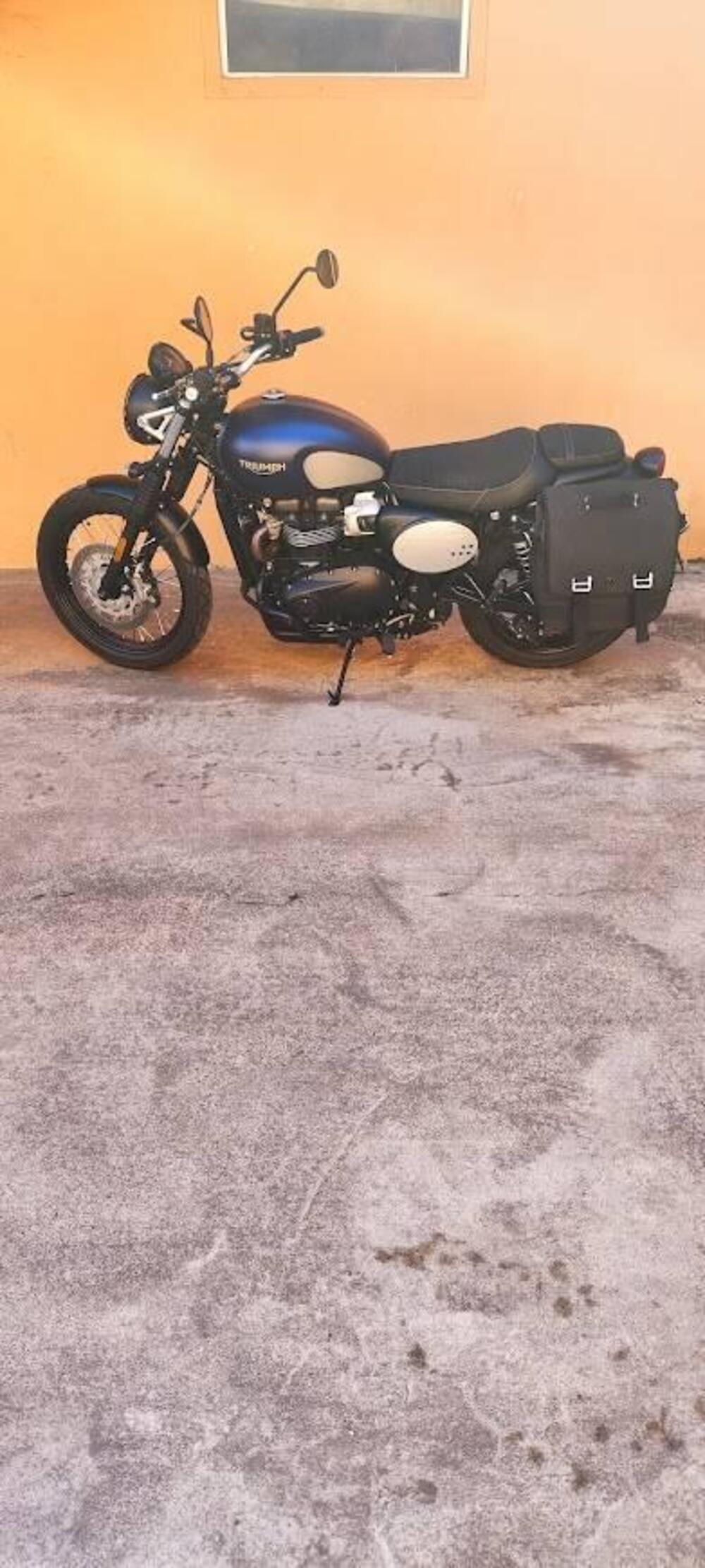 Triumph Street Scrambler 900 Gold Line Edition (2021 - 23) (4)