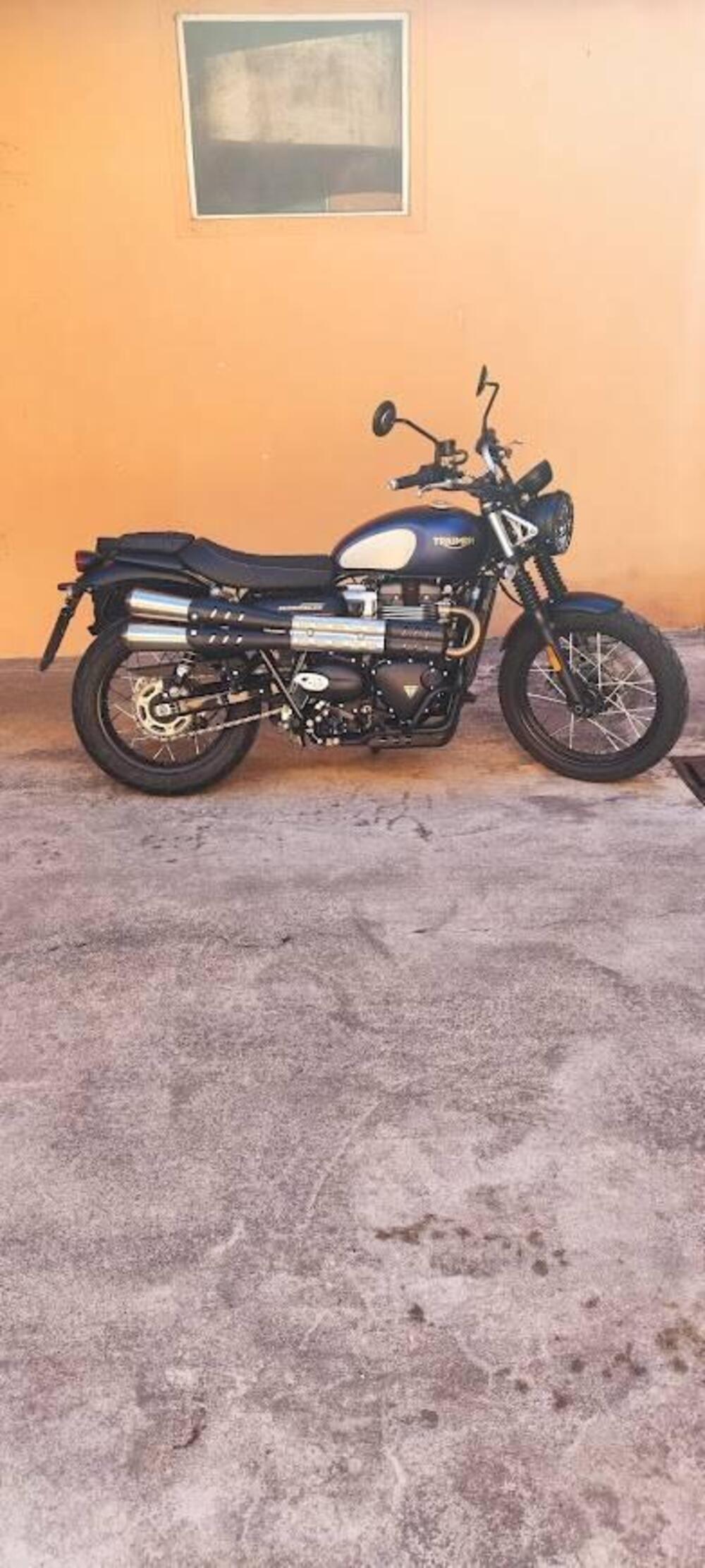 Triumph Street Scrambler 900 Gold Line Edition (2021 - 23) (5)