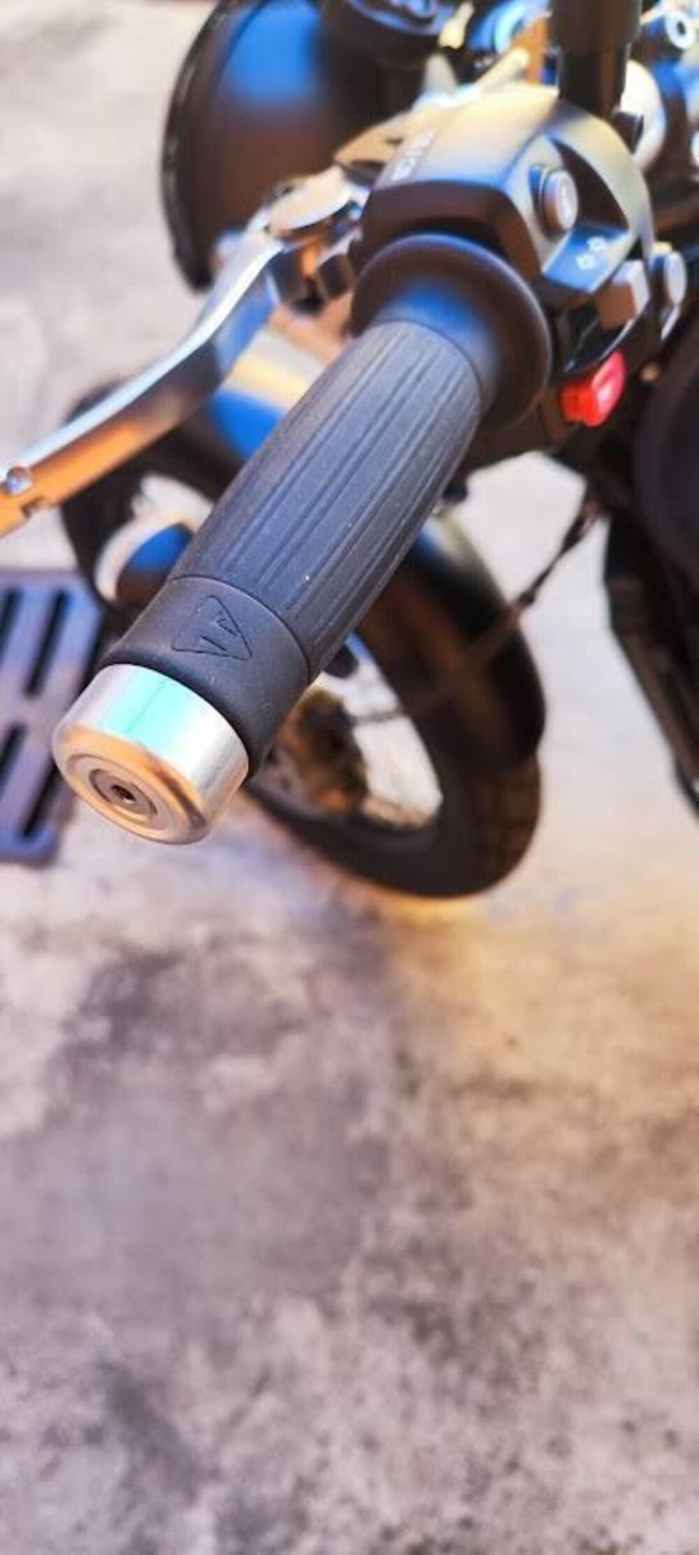 Triumph Street Scrambler 900 Gold Line Edition (2021 - 23) (9)