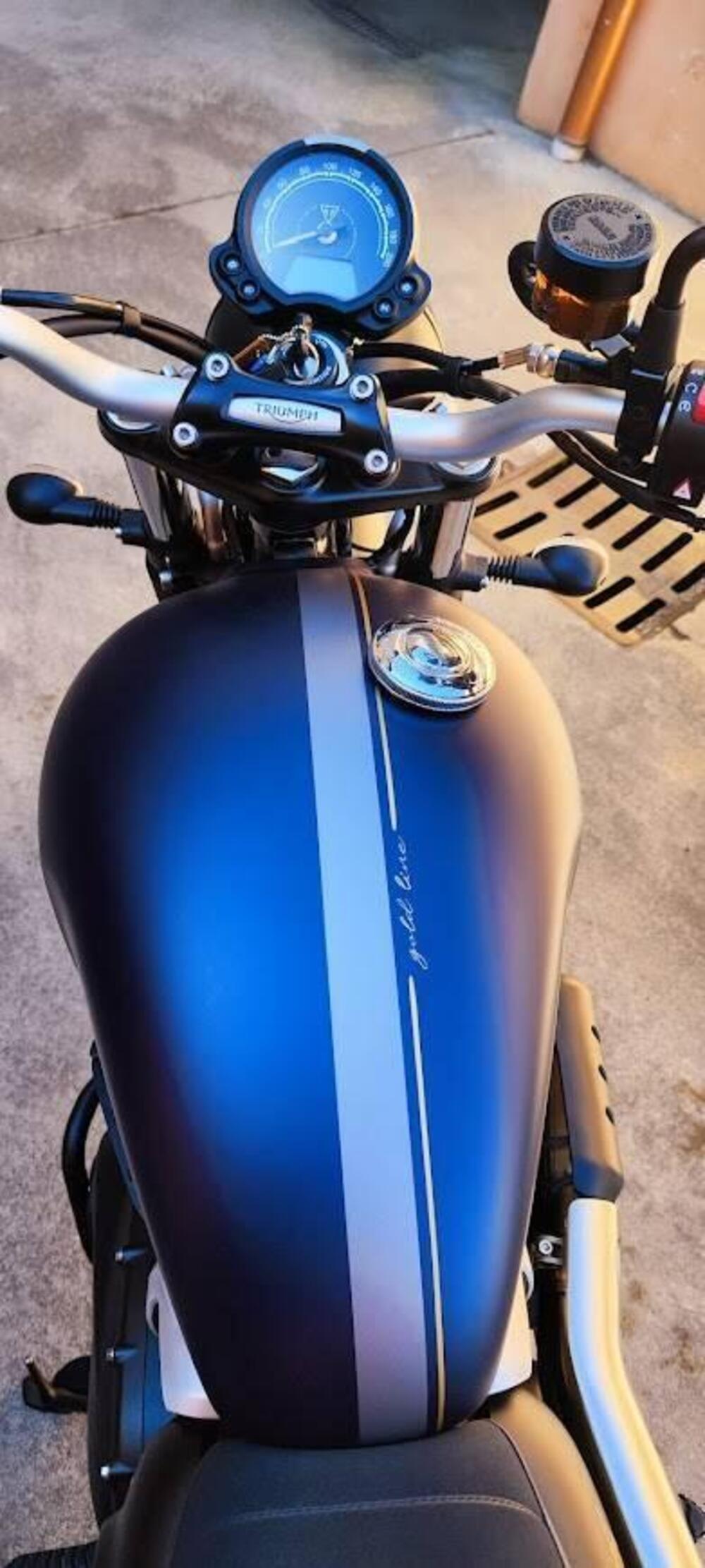 Triumph Street Scrambler 900 Gold Line Edition (2021 - 23) (11)