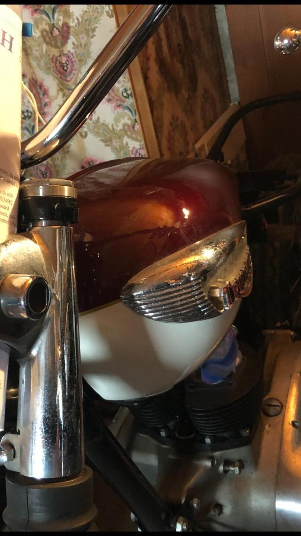 Serbatoio Triumph Bsa norton